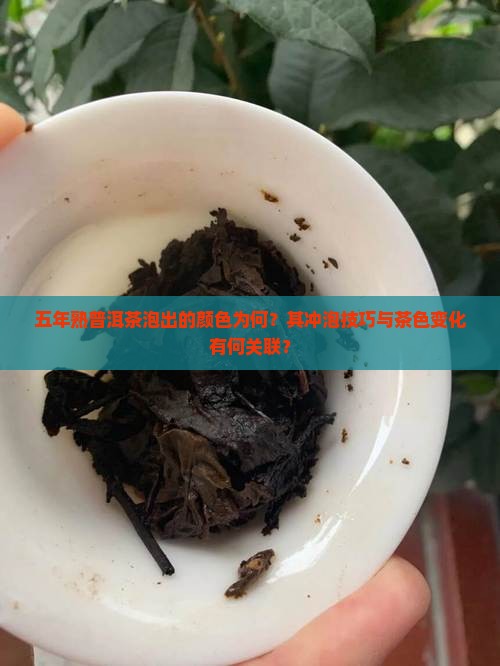 五年熟普洱茶泡出的颜色为何？其冲泡技巧与茶色变化有何关联？