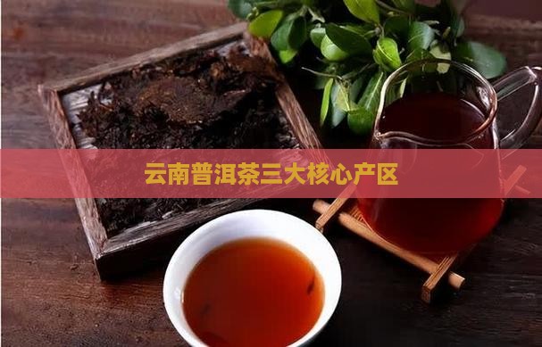 云南普洱茶三大核心产区