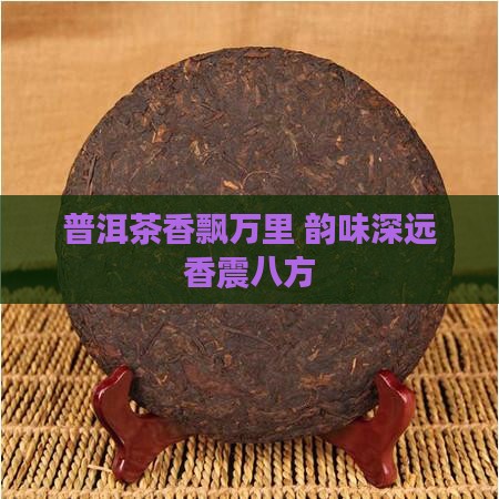 普洱茶香飘万里 韵味深远香震八方