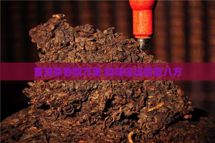 普洱茶香飘万里 韵味深远香震八方