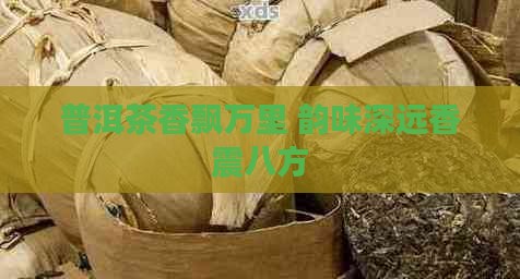 普洱茶香飘万里 韵味深远香震八方