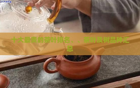 十大最贵的茶叶排名、、茶叶及树品种汇总