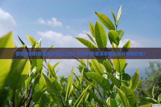 哪些年份的普洱茶炒红后口感？如何判断普洱茶的品质与收藏价值？