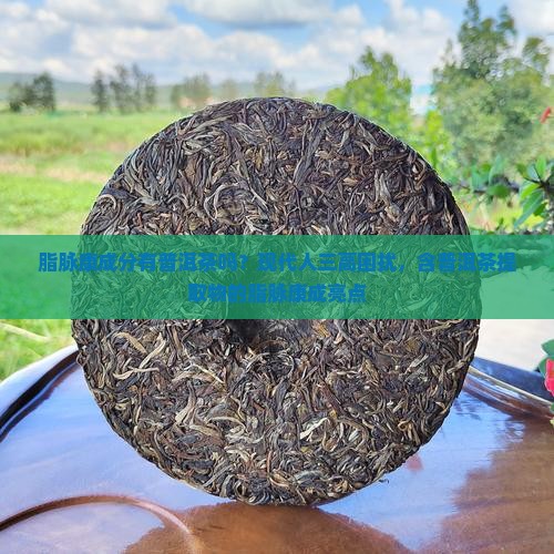 脂脉康成分有普洱茶吗？现代人三高困扰，含普洱茶提取物的脂脉康成亮点