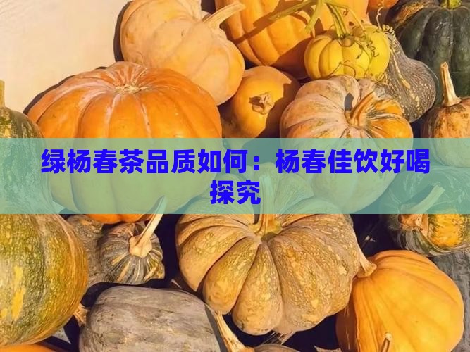 绿杨春茶品质如何：杨春佳饮好喝探究