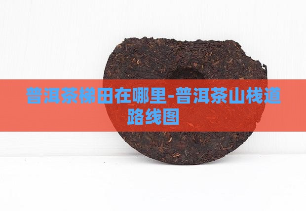 普洱茶梯田在哪里-普洱茶山栈道路线图