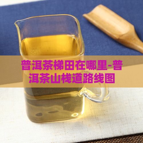普洱茶梯田在哪里-普洱茶山栈道路线图