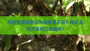 为何普洱茶煮与冲泡效果不同？探究品饮方法与口感痛点！