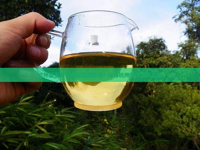 杭州普洱茶市场哪里最热销？探寻杭州普洱茶购买地