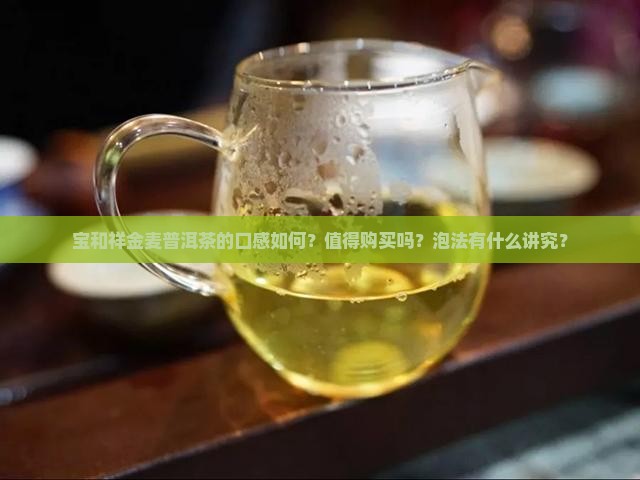 宝和祥金麦普洱茶的口感如何？值得购买吗？泡法有什么讲究？