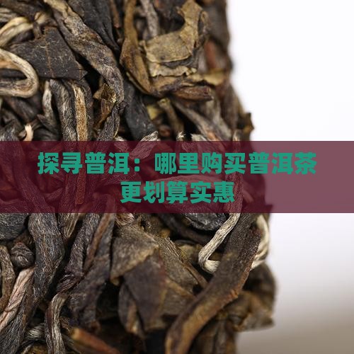 探寻普洱：哪里购买普洱茶更划算实惠