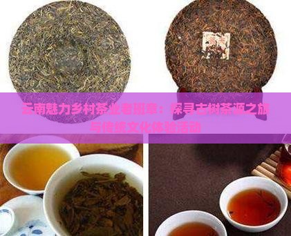云南魅力乡村茶业老班章：探寻古树茶源之旅与传统文化体验活动