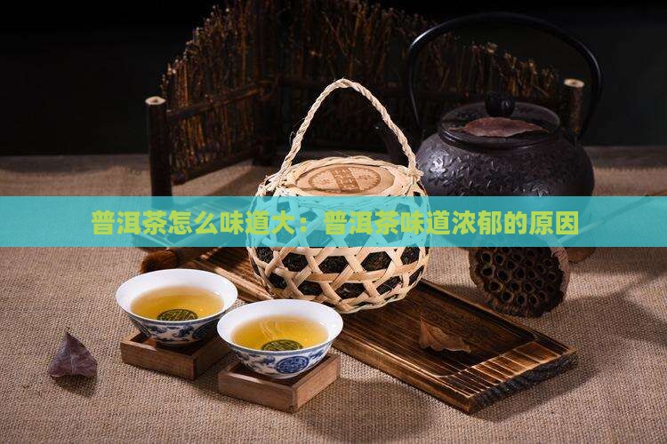 普洱茶怎么味道大：普洱茶味道浓郁的原因