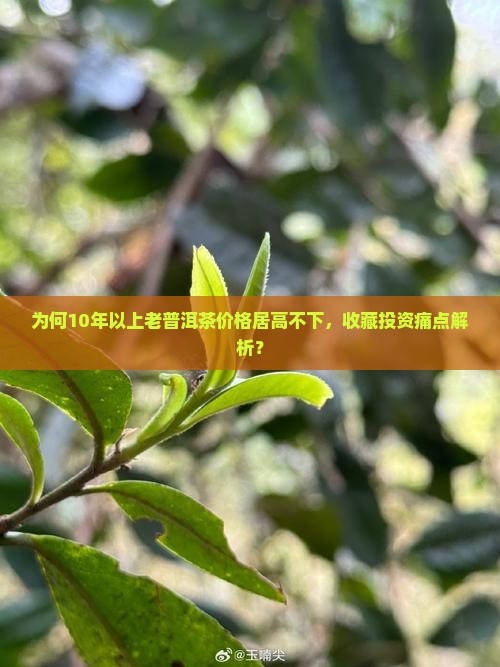 为何10年以上老普洱茶价格居高不下，收藏投资痛点解析？
