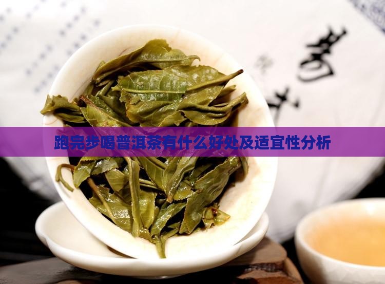 跑完步喝普洱茶有什么好处及适宜性分析