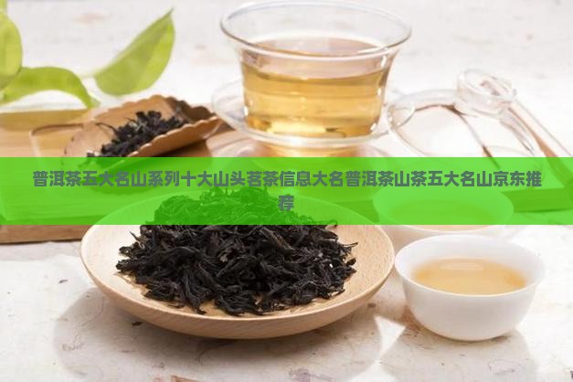普洱茶五大名山系列十大山头茗茶信息大名普洱茶山茶五大名山京东推荐