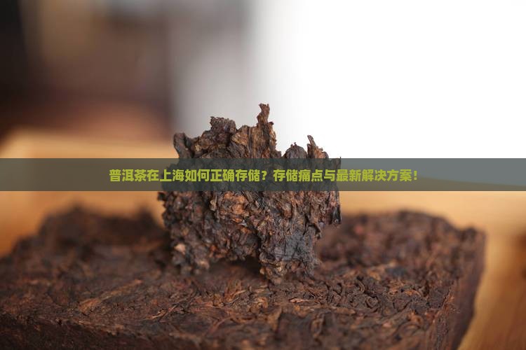 普洱茶在上海如何正确存储？存储痛点与最新解决方案！