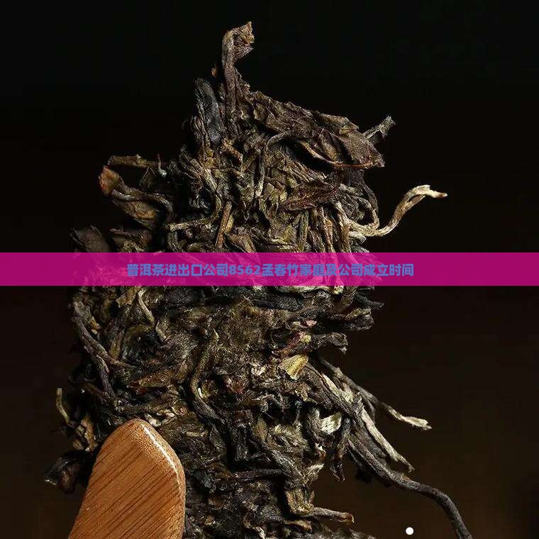 普洱茶进出口公司8562孟春竹家庭及公司成立时间