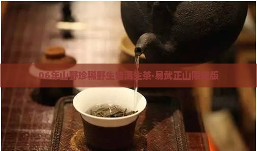 06年山野珍稀野生普洱生茶·易武正山限定版