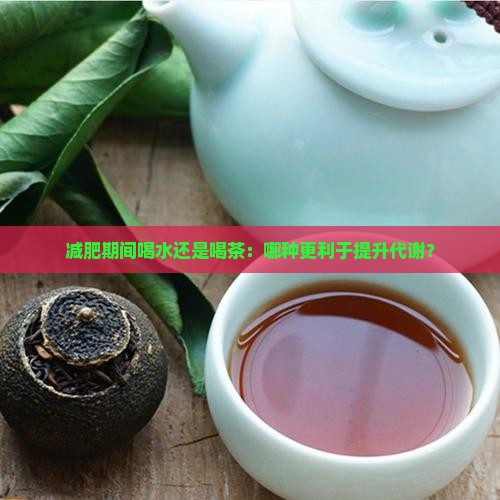 减肥期间喝水还是喝茶：哪种更利于提升代谢？