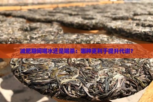 减肥期间喝水还是喝茶：哪种更利于提升代谢？