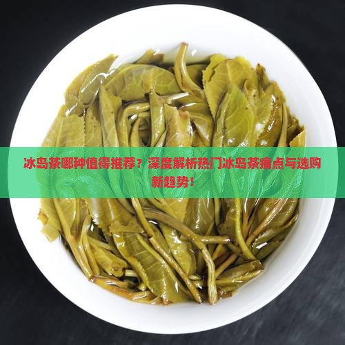 冰岛茶哪种值得推荐？深度解析热门冰岛茶痛点与选购新趋势！