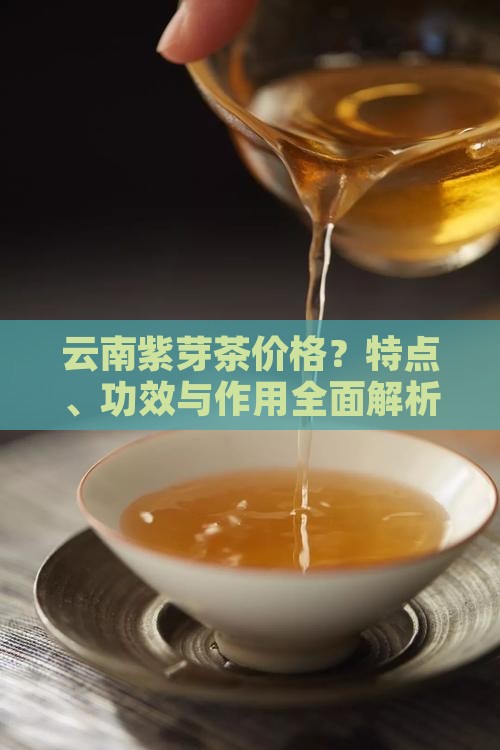 云南紫芽茶价格？特点、功效与作用全面解析