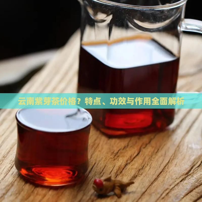 云南紫芽茶价格？特点、功效与作用全面解析