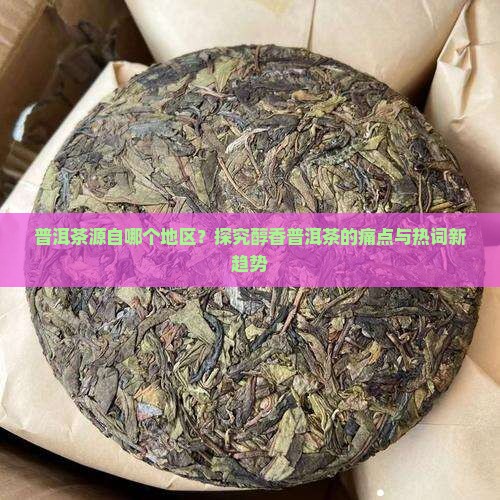 普洱茶源自哪个地区？探究醇香普洱茶的痛点与热词新趋势