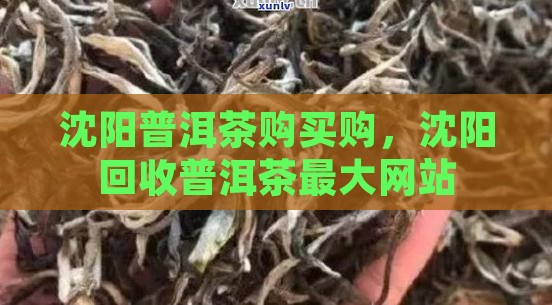 沈阳普洱茶购买购，沈阳回收普洱茶最大网站