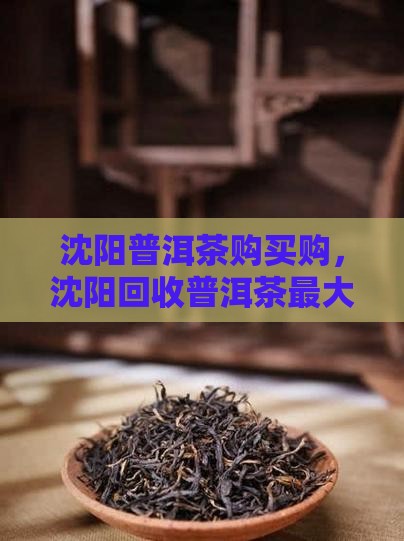 沈阳普洱茶购买购，沈阳回收普洱茶最大网站