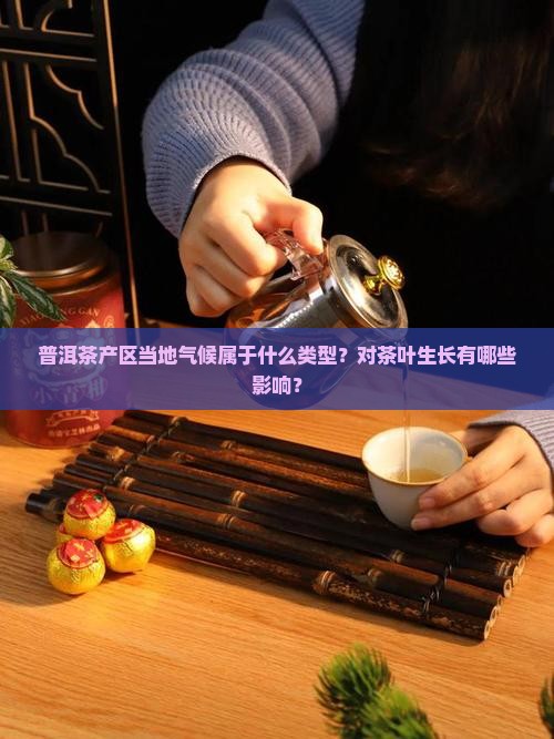 普洱茶产区当地气候属于什么类型？对茶叶生长有哪些影响？