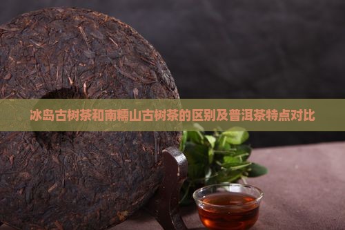 冰岛古树茶和南糯山古树茶的区别及普洱茶特点对比