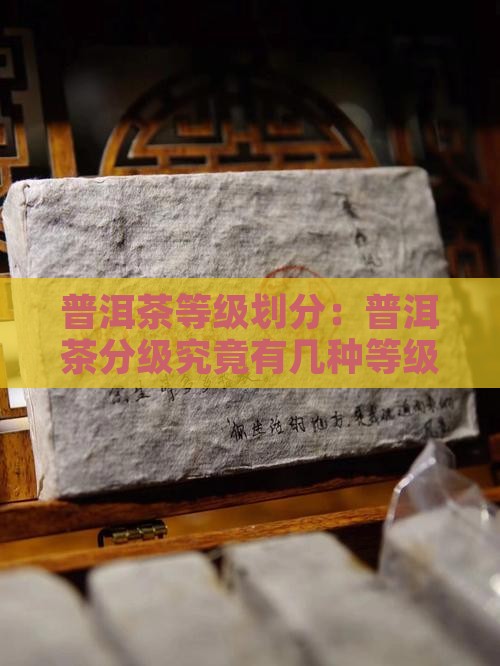普洱茶等级划分：普洱茶分级究竟有几种等级