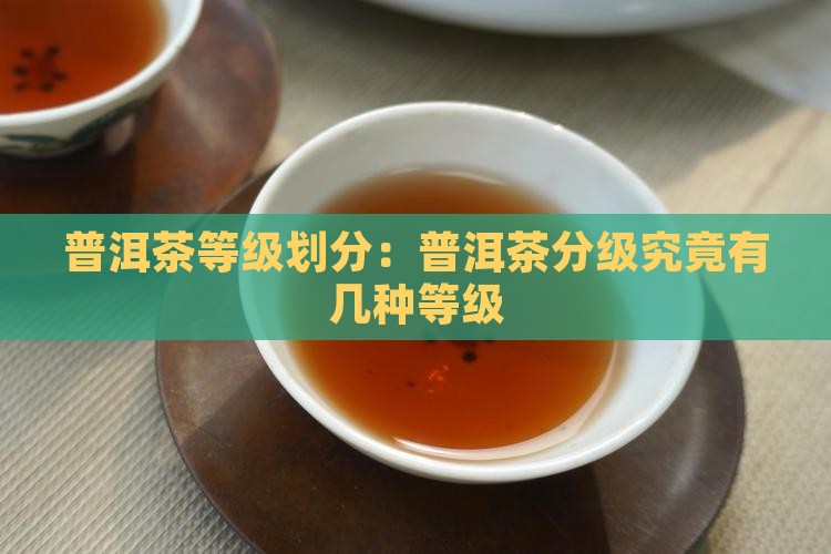 普洱茶等级划分：普洱茶分级究竟有几种等级