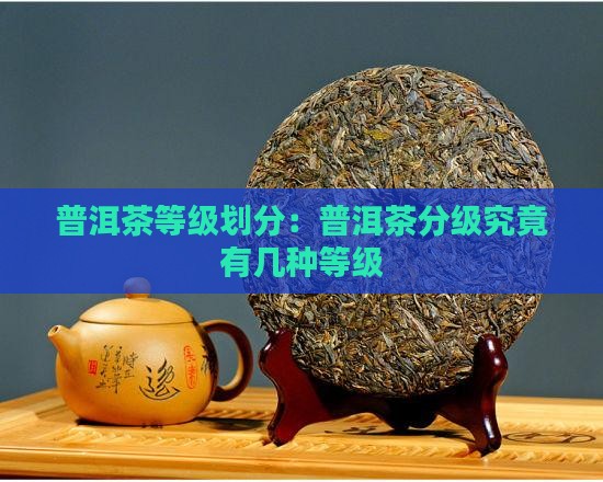 普洱茶等级划分：普洱茶分级究竟有几种等级