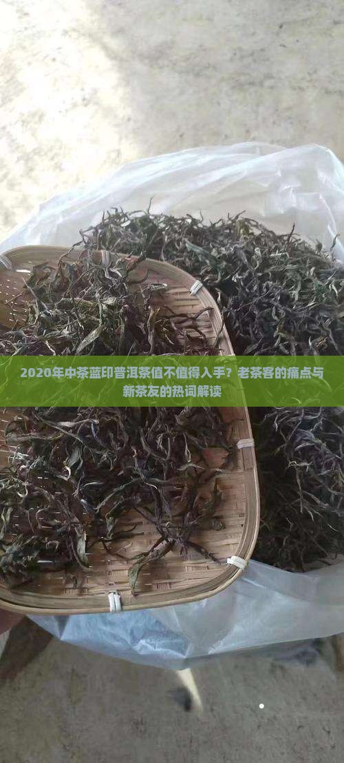2020年中茶蓝印普洱茶值不值得入手？老茶客的痛点与新茶友的热词解读