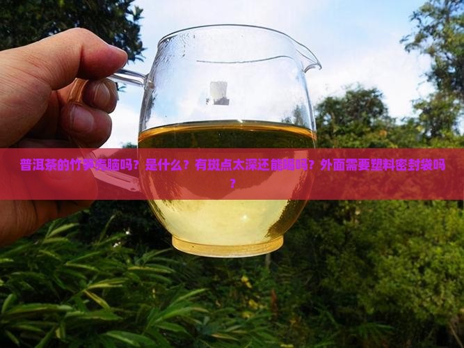 普洱茶的竹笋壳脑吗？是什么？有斑点太深还能喝吗？外面需要塑料密封袋吗？