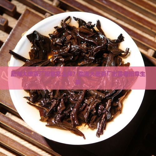 勐海大唐茶厂班章怎么样？勐海大唐茶厂出品老班章生茶