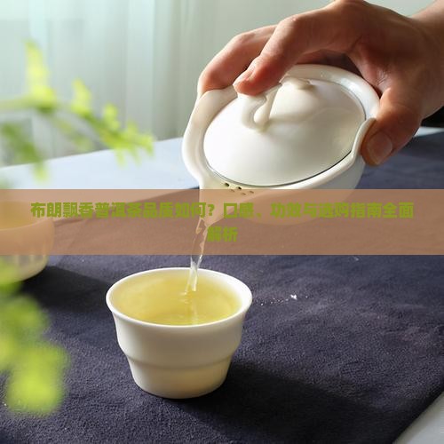 布朗飘香普洱茶品质如何？口感、功效与选购指南全面解析