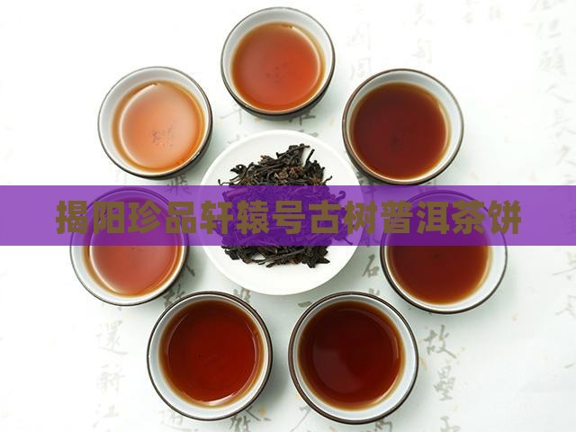 揭阳珍品轩辕号古树普洱茶饼