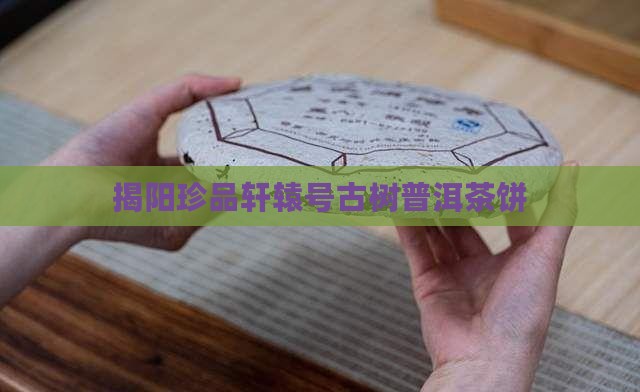 揭阳珍品轩辕号古树普洱茶饼