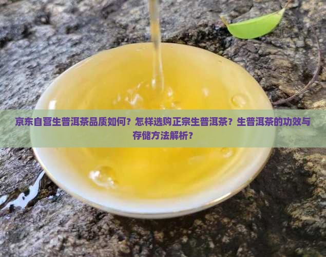 京东自营生普洱茶品质如何？怎样选购正宗生普洱茶？生普洱茶的功效与存储方法解析？