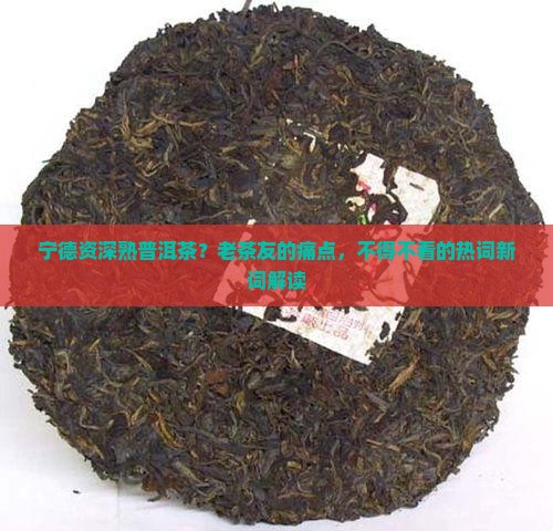 宁德资深熟普洱茶？老茶友的痛点，不得不看的热词新词解读