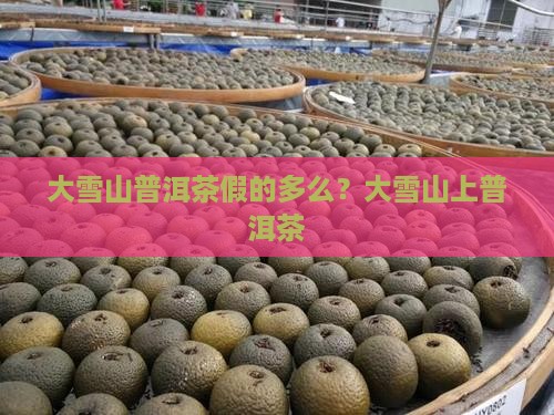大雪山普洱茶假的多么？大雪山上普洱茶