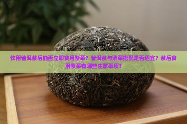 饮用普洱茶后能否立即食用紫菜？普洱茶与紫菜搭配是否适宜？茶后食用紫菜有哪些注意事项？