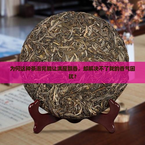 为何这种茶泡完能让满屋飘香，却解决不了我的香气困扰？