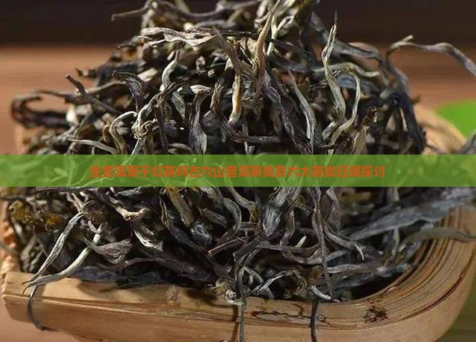 生普洱属于红茶吗古六山普洱茶类及六大茶类归属探讨