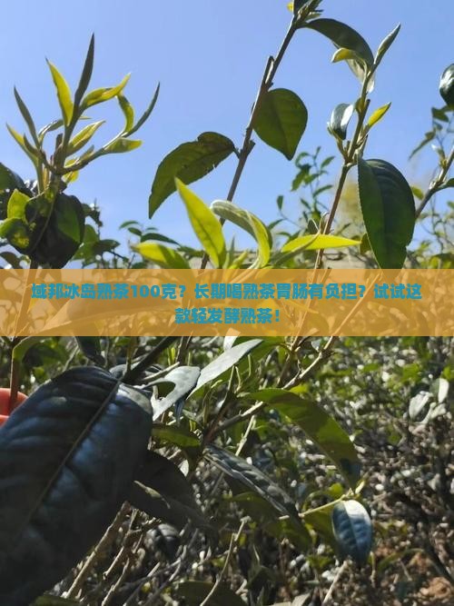 域邦冰岛熟茶100克？长期喝熟茶胃肠有负担？试试这款轻发酵熟茶！