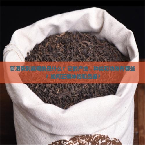 普洱茶到底喝的是什么？它的产地、种类和功效有哪些？如何正确冲泡和品鉴？